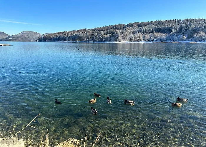Lägenhet Haus Reindl Walchensee